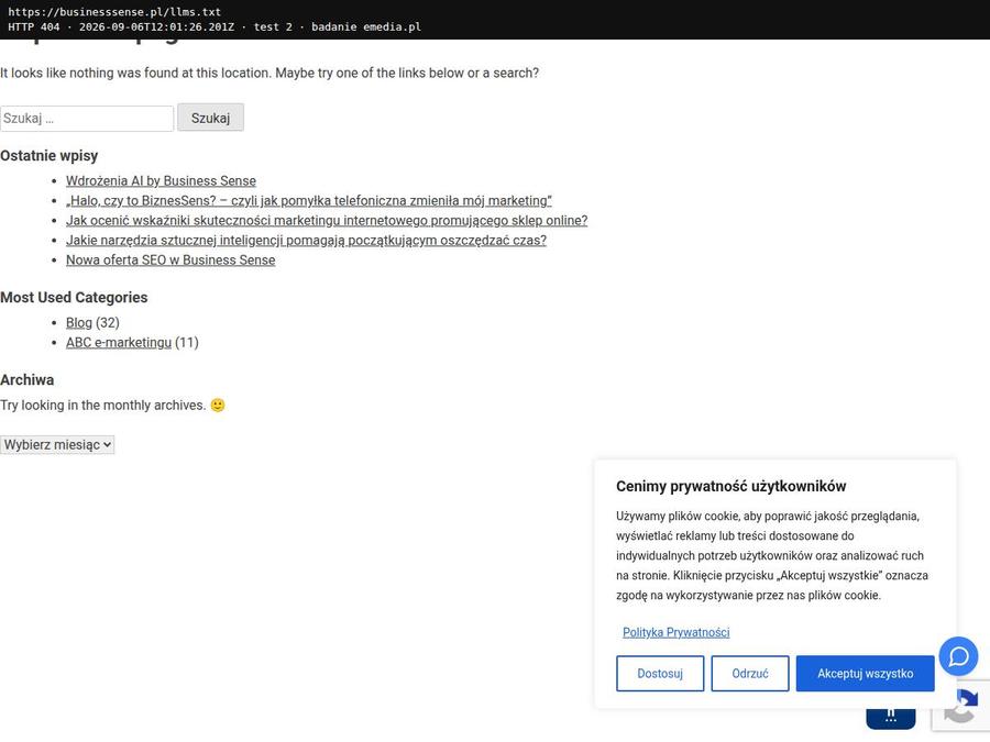 Adres /llms.txt w przeglądarce, Business Sense