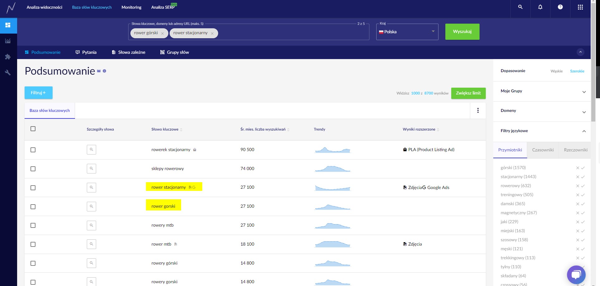 Baza Slow Kluczowych Analiza Emedia