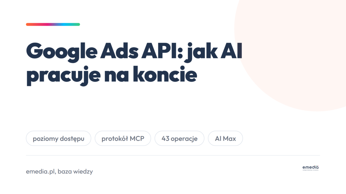 Okładka wpisu o pracy modelu AI na koncie Google Ads przez interfejs programistyczny
